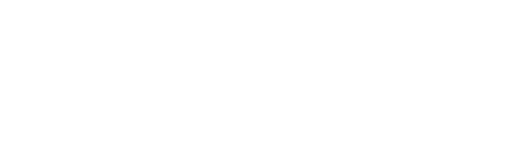 Porcher